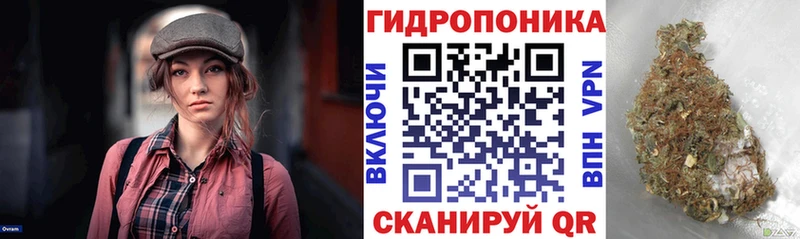 Бошки марихуана тримм  купить наркоту  Фурманов 